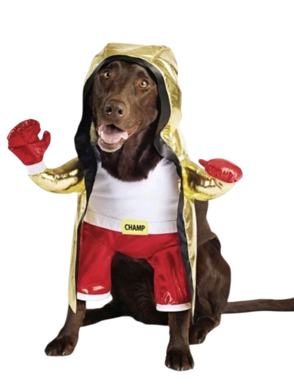 Boxer Champ Dog Costume with Hood and Gloves Xl Nwot